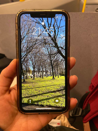 iPhone 11 (Usado)