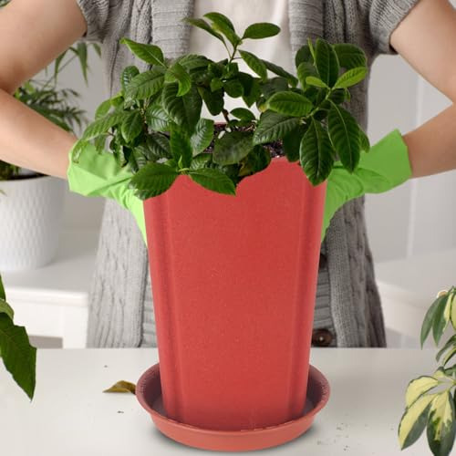 Maceta De Orquídea De 6 Pulgadas Premium, Macetas De Arcill