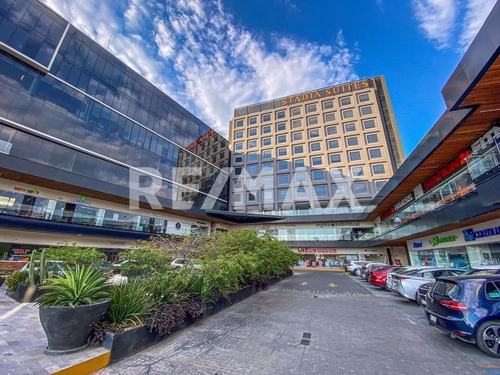 Local En Renta Plaza Ubika Universidad