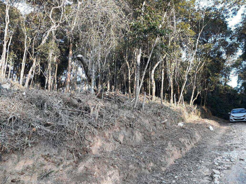Imagem 4 de 28 de Terreno, Chácara Das Palmeiras, Itapecerica Da Serra - R$ 150 Mil, Cod: 1188 - V1188