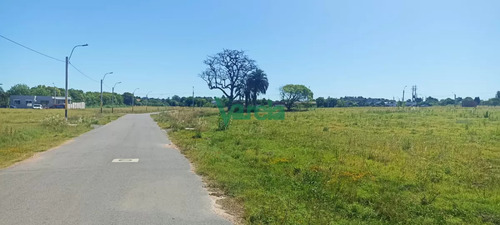 Venta Terrenos Altos Y Parejos. Lagomar . Hay Con 20 M De Frente. Suc Shangrila