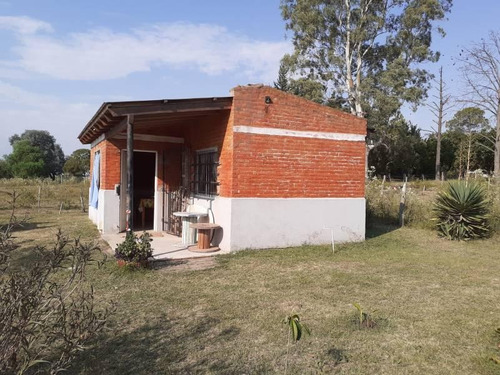Victoria E.r - Se Alquila Casa Quinta Amoblada De Un Dormitorio.