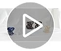 Juego De 2 Figuras De Perro De Cristal Talladas