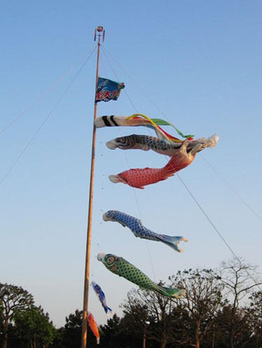55/70/100/150cm Bandera De Manga Peces Streamer 150cm Negro
