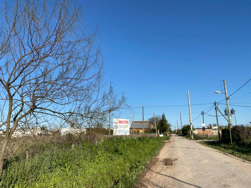 Imagen 8 de 15 de Terrenos En Venta En Parque Sicardi La Plata