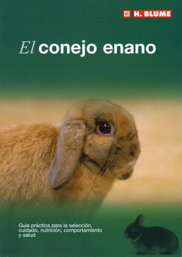 Conejo Enano - George, David