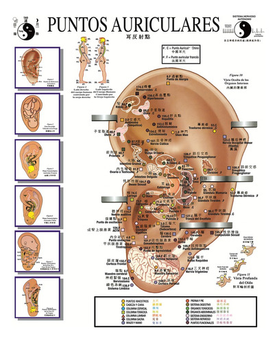 Gráfica Puntos Auriculares Tamaño Carta