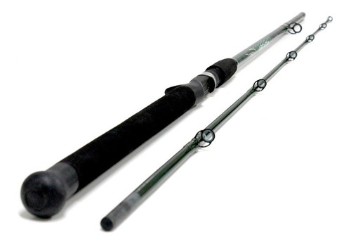 Caña Tech Arcadia 1,98 Mts 2 Tramos 10-25 Lbs Baitcasting