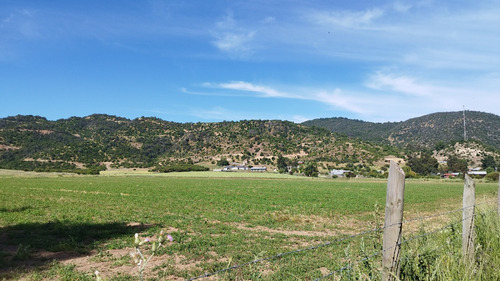 Parcela Plana 5.000 Mt2 Hermosa Vista, Los Maitenes Sta.cruz