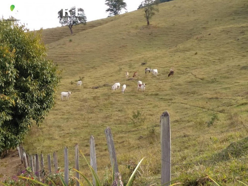Fazenda A Venda Em Cunha - Fa00007 - 33988656