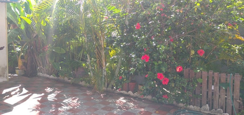 Imagen 9 de 12 de Se Vende Terreno Urb.santa Eduvigis Caracas R4 Residencial