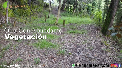 Imagen 7 de 14 de En Venta Lote Guarne Vereda La Brizuela 6.500m²