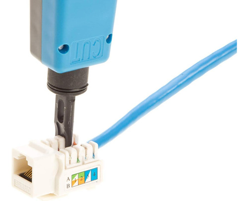Conector De Pared Ethernet Keystone En Ángulo De 45° Cat6