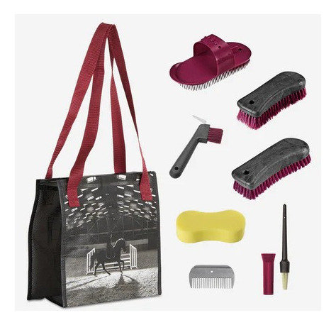 Set De Limpieza Para Caballo Yegua Fouganza Rasqueta Escarba