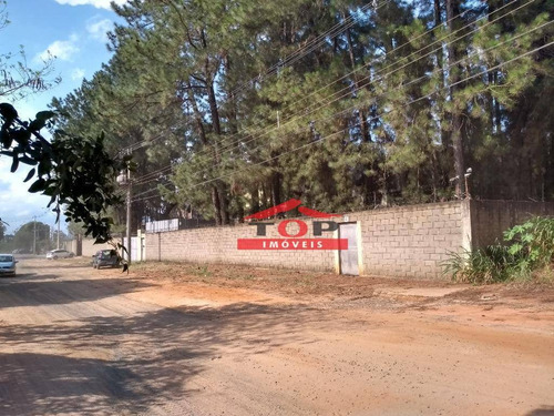 Imagem 1 de 30 de Oportunidade No Distrito Industrial Ii - Ba0274