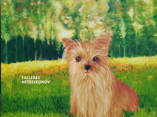 Clases De Dibujo Y Pintura