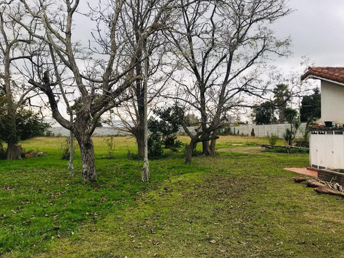 Casa Venta A Refaccionar 4 Dormitorios 3 Baños Y Terreno De 4,922 Mts 2-262 Mts 2 Cubiertos - Villa Elvira