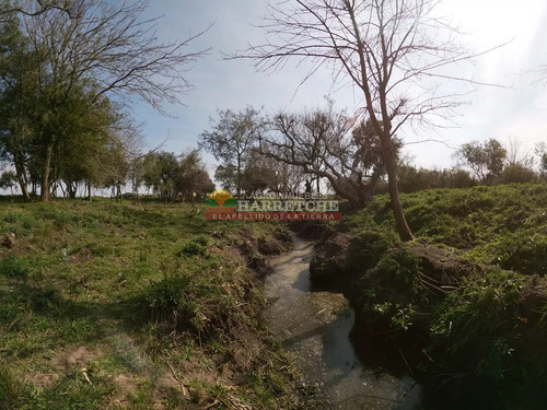 Chacra En Venta Los Cerrillos, 1 Has Con Casa De Dos Dormitorios