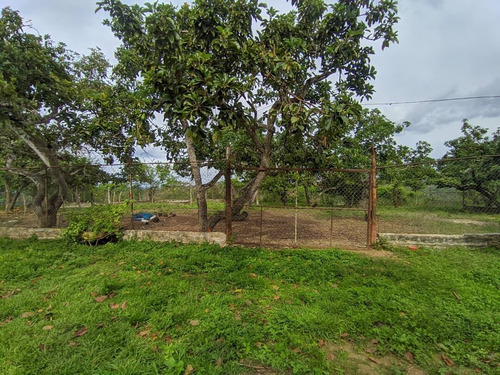 Imagen 10 de 11 de Venta De Finca En Tinaquillo Estado Cojedes Cod. 12604 Hm 04245552216
