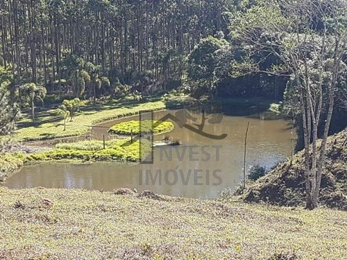 Imagem 9 de 15 de Cód 2879 - Lindo Sitio Com 102.000 M²!!! - 2879
