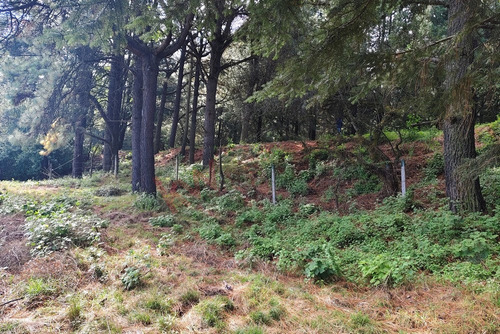 ¡invierte En Grande! Terreno Con Gran Potencial En El Corazón Del Ajusco: 2257 M2