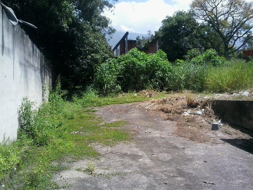 Imagen 4 de 7 de Vendo Terreno Sector El Piñal. El Limón