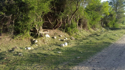 Terreno - Villa De Las Rosas - Traslasierra - Cordoba