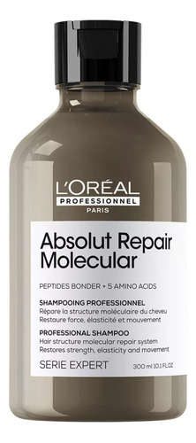 Shampoo Absolut Repair Molecular 300 Ml