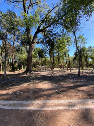 Imagen 2 de 3 de Gran Oportunidad:terreno A La Venta Ubicado En Tortuguitas