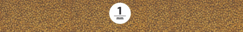 Betta Bits Alimento Premium Para Peces Betas 100 Gr