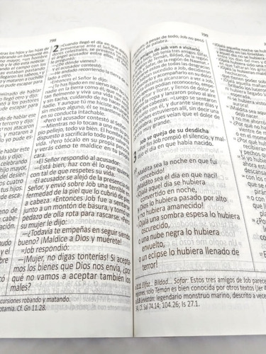 Imagen 3 de 3 de Biblia Dios Habla Hoy Deuterocanónicos Letra Gigante Rústica