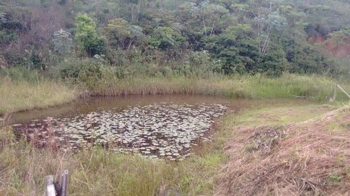Imagem 8 de 14 de Chácara 1500 M2 Santa Isabel Do Rio Preto