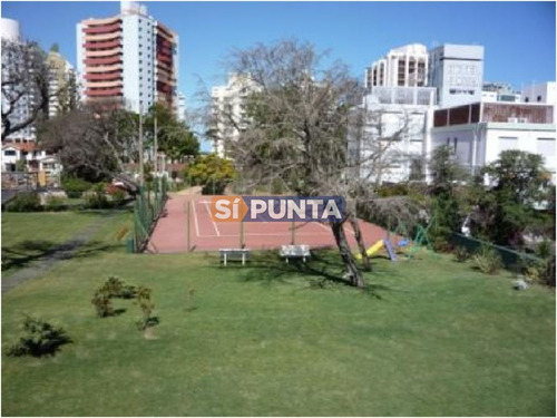 Imagen 26 de 30 de Pent House En Torre De Categoría