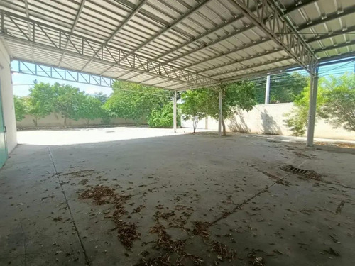 Local En Renta Comercial En Itzaes, Mérida Centro, Mérida Yucatán