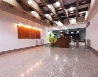 Imagem 14 de 18 de Conjunto Comercial De Salas À Venda, 245 M² - Lourdes - Belo Horizonte/mg - Cj0014