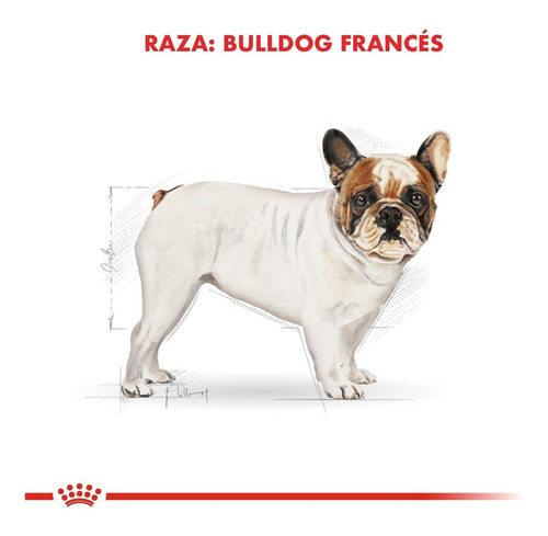 Imagen 2 de 4 de Alimento Royal Canin Breed Health Nutrition Bulldog Francés para perro adulto de raza pequeña sabor mix en bolsa de 7.5 kg