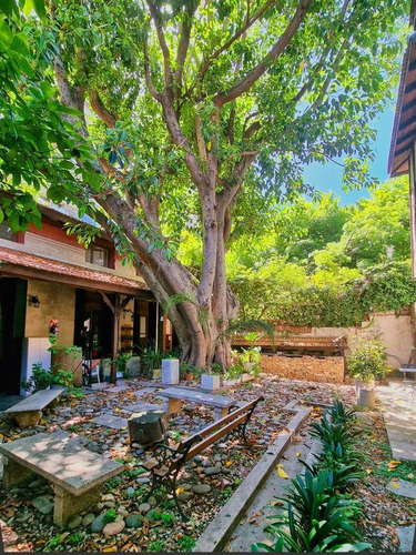 Imagen 18 de 29 de Unico Ph Estilo Antiguo En Belgrano - 3 Ambientes - Cava Vinos Y Parrilla Propia