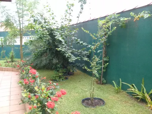 Casa Térrea C/ 3 Quartos, 2 Banheiros - São João Batista Ll Peruíbe/sp