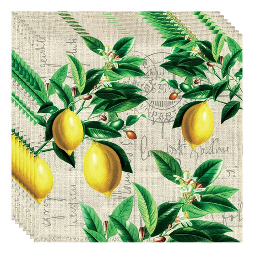 2 Guardanapos Para Decoupage Ambiente Limão Siciliano