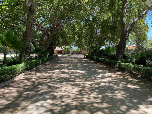 Parque De 2,3 Hás Con Construcciones