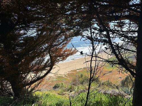 Sitio En Venta En Primera Línea Cachagua - Zapallar