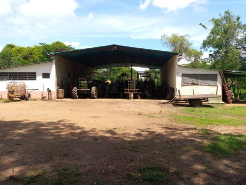 Imagen 2 de 8 de Venta De Extensa Finca En Cojedes - Inmobiliaria Maggi 1161