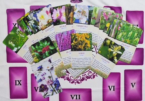 Oráculo Flores De Bach (símil)
