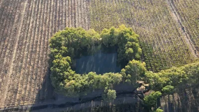 Agrícola en venta