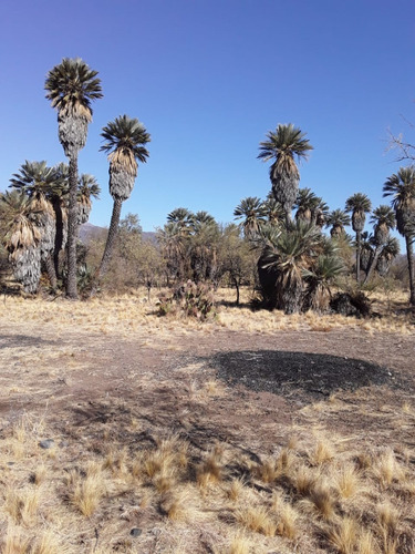 Imagen 12 de 17 de Chacra Rural Con Galpon