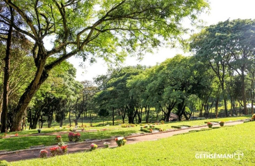 Vendo Jazigo 3(gavetas) Cemitério Gethsêmani Morumbi