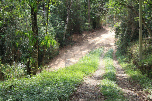 Lindo Terreno Com 7835m2 E 80% De Aproveitamento - Ch0003