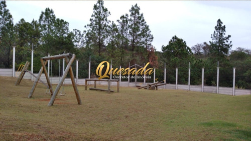 Imagem 7 de 7 de Terreno - Te00236 - 69515111