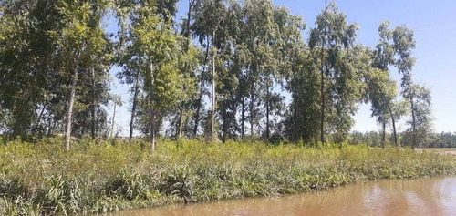 Lotes En Venta En San Fernando