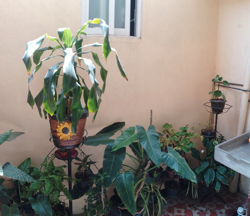 Casa En Venta En Ecatepec De Morelos Cercana A La Cdmx